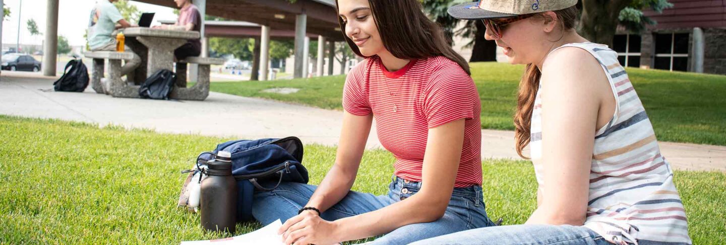 Students studying on lawn