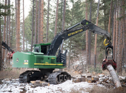 heavy equipment operator moving pine tree