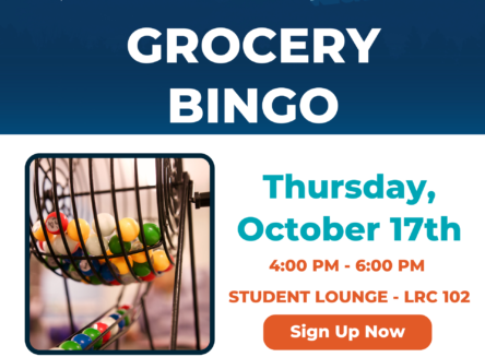 grocery bingo student activities