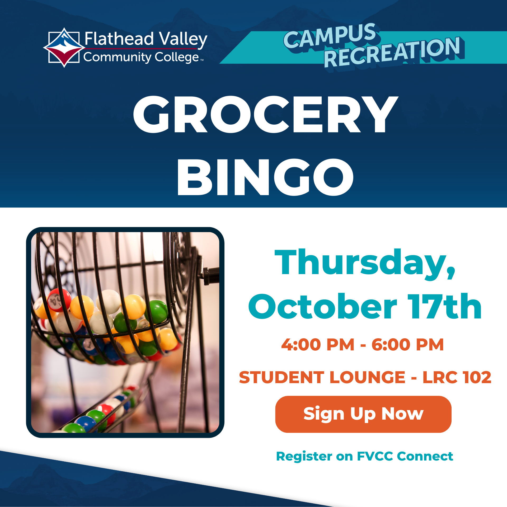 grocery bingo student activities