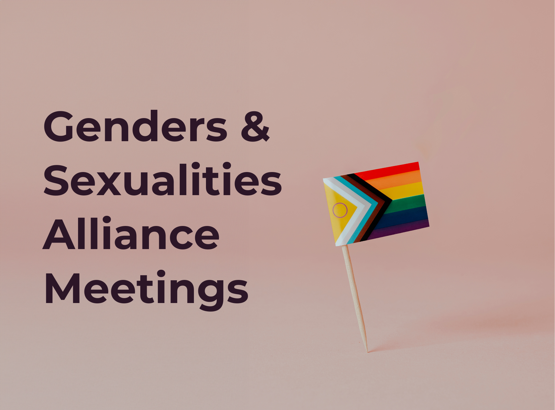 Toothpick with LGBTQ+ flag standing on its own with light pink background and text above flag reading "genders & Sexualities Alliance Meetings