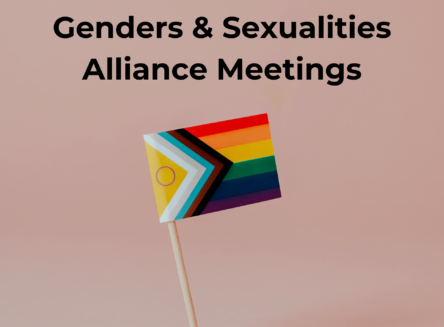 Toothpick with LGBTQ+ flag standing on its own with light pink background and text above flag reading "genders & Sexualities Alliance Meetings