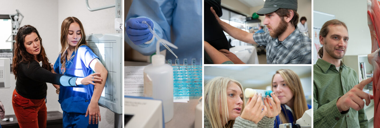 Health Sciences students gaining practical experience through diverse, hands-on training environments.