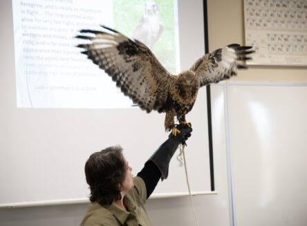 woman holding bird in classroom